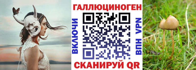 хочу   Искитим  Псилоцибиновые грибы мухоморы 
